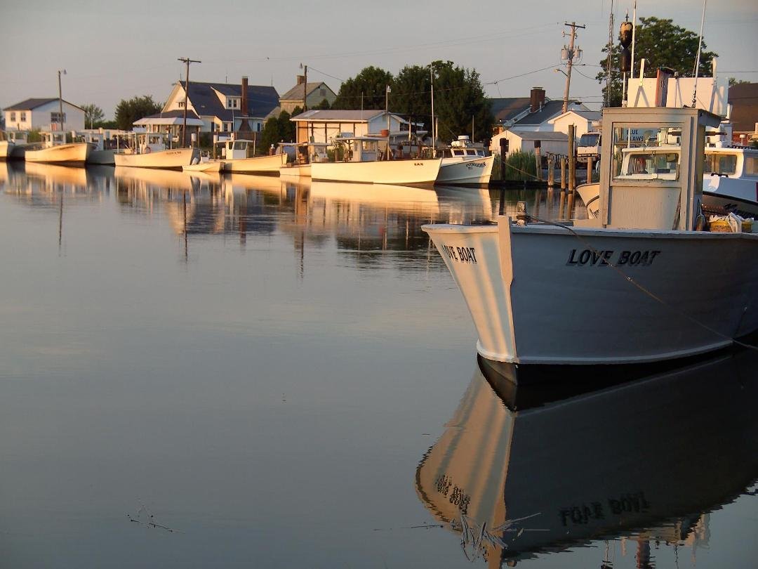 One of my favorite pictures....took this back in 2006