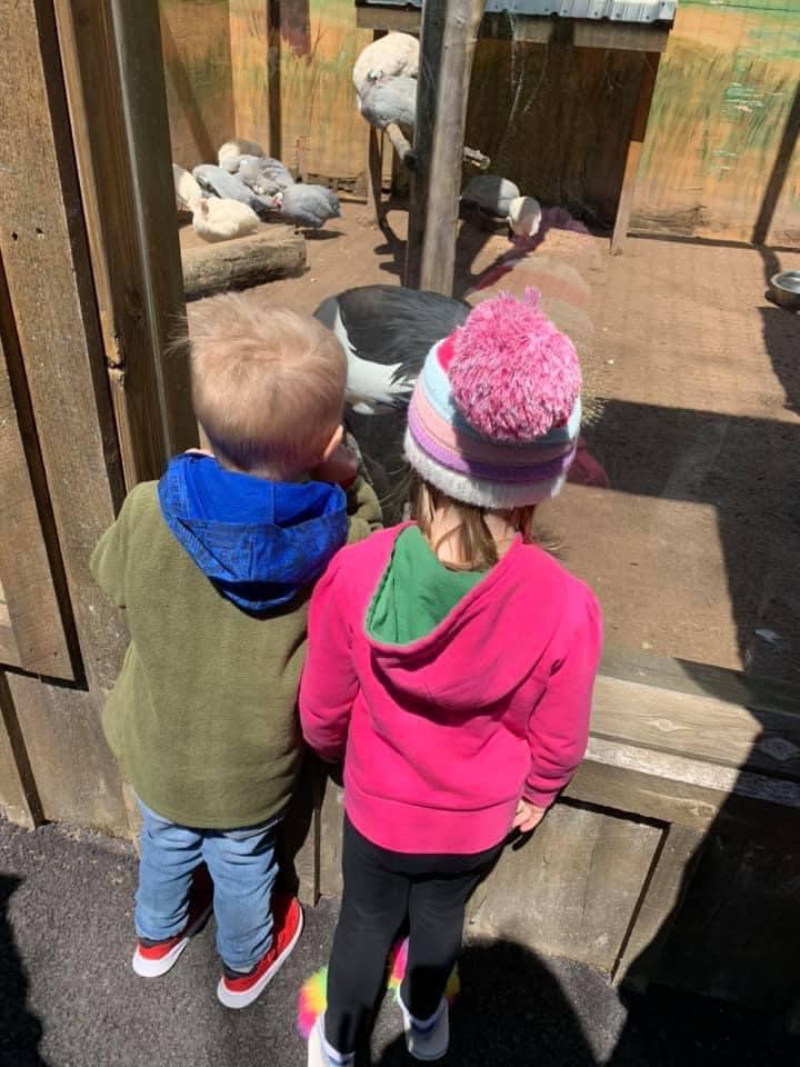 Great time at the wild with the family !! ❤️❤️