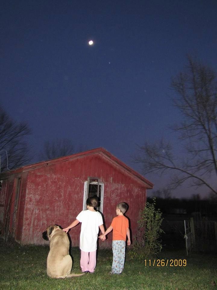 Donna Damsch's album, Mobile Uploads