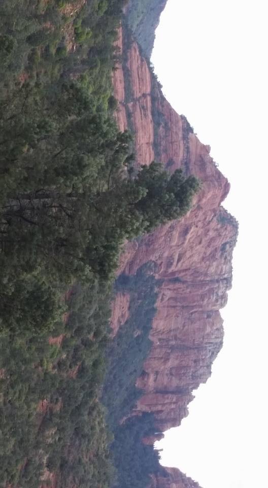John Elmquist's album, Mobile Uploads