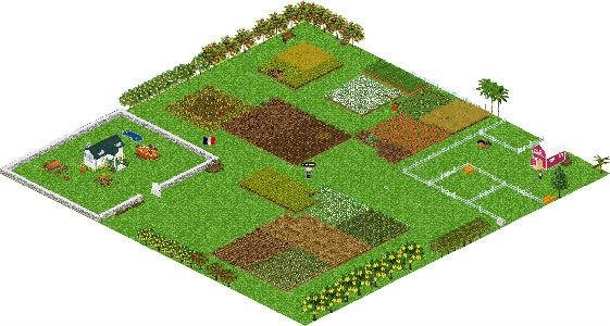 SUSIE took a photo in Farm Town. Click here to play Farm Town: http://apps.facebook.com/farmtown?cid=ph