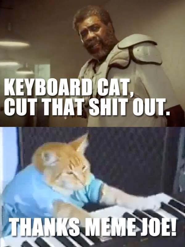😻
