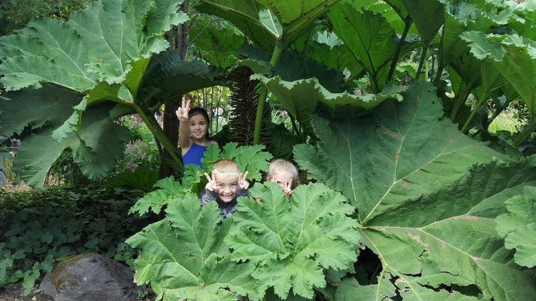 Grandkids  hiding  from Trex
