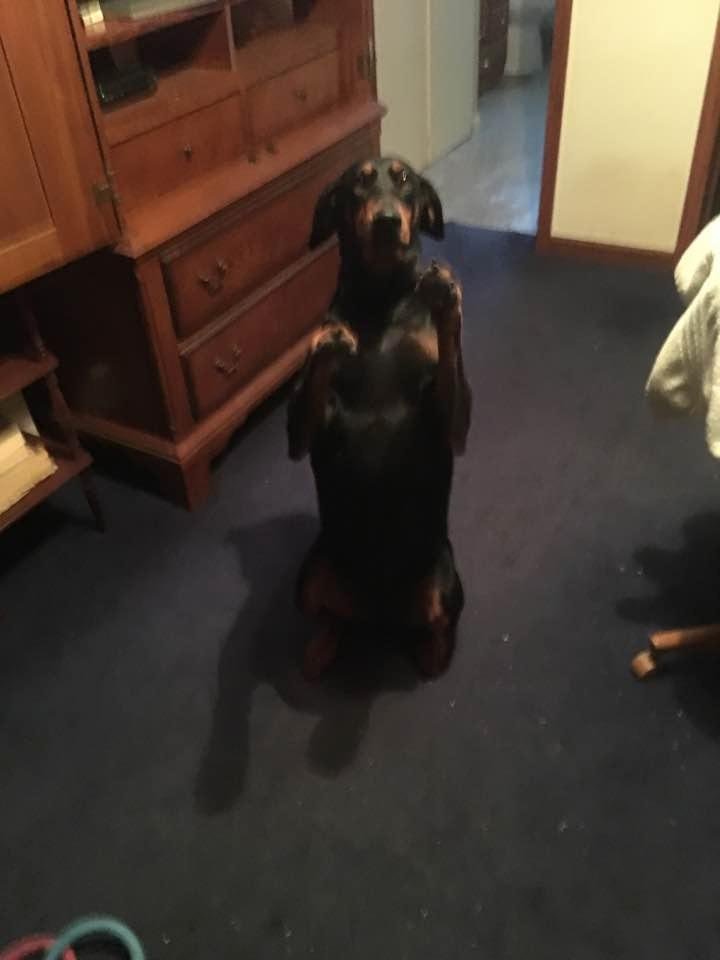 Our baby