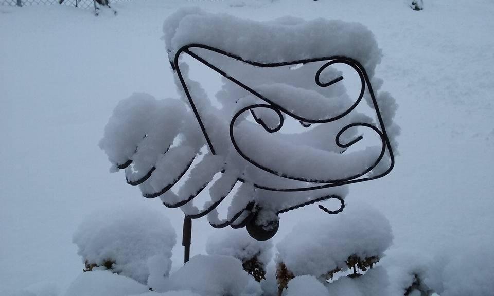 I think this is the only kind of butterfly that could be out right now Merry Christmas to everyone