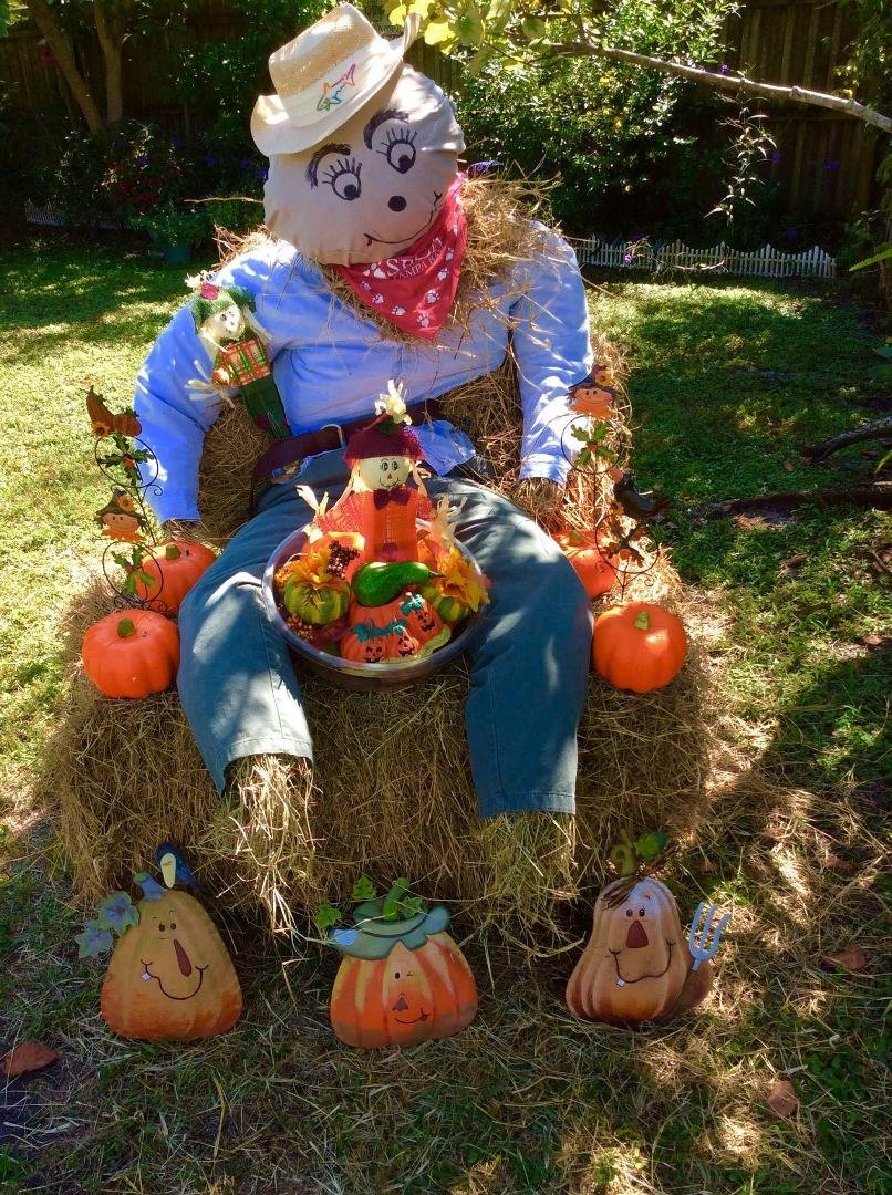Sharri and I just finished our mostly Thanksgiving/Fall backyard display. Need cooler weather...Ha