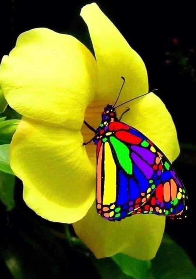 Kathy Arias Morales' album, Mobile Uploads