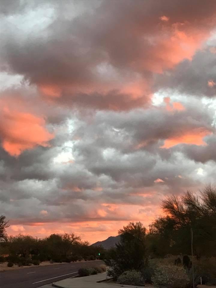 Ronna Garry's album, Mobile Uploads
