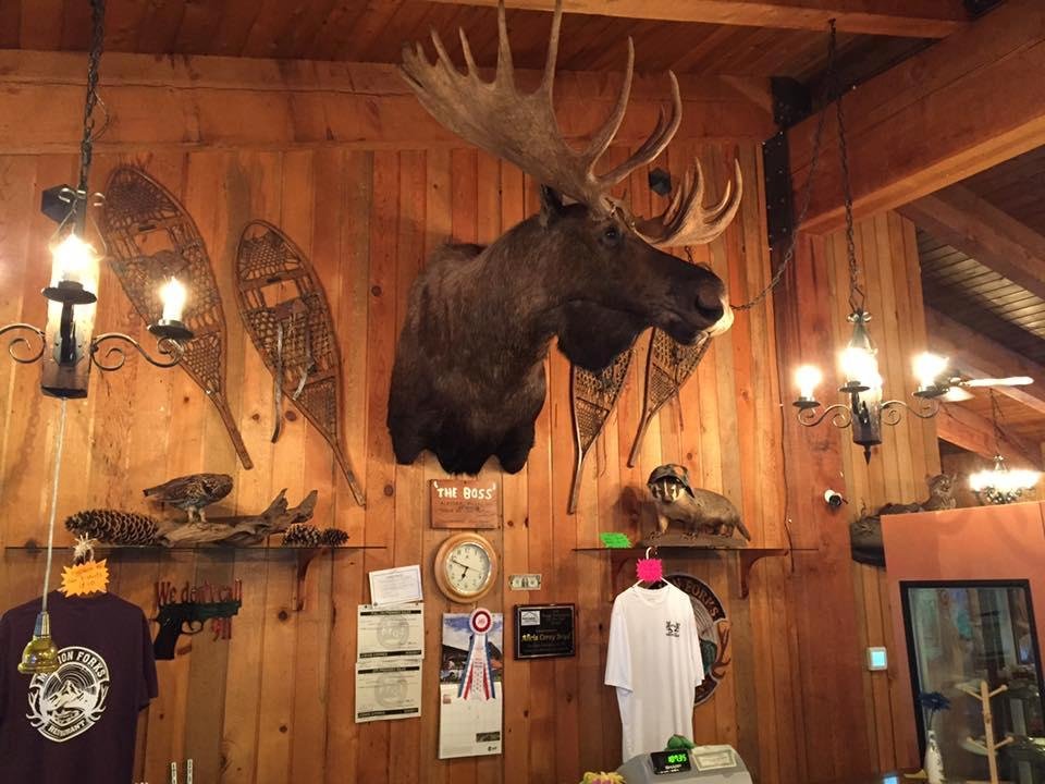 Huge moose -- The Boss. Imported from Alaska. The meatloaf and marionberry pie, though, is local!