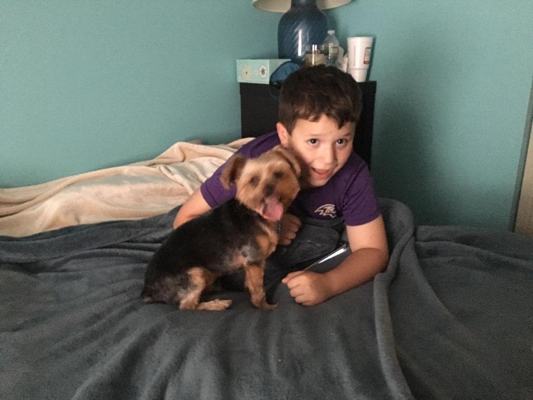 Matty and Dexter enjoying reading together