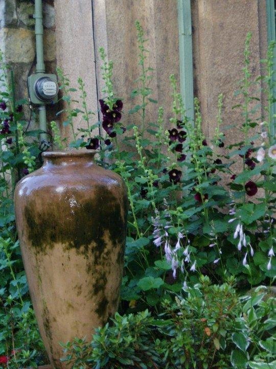 Rosemary Capocci's album, Gardens 2009