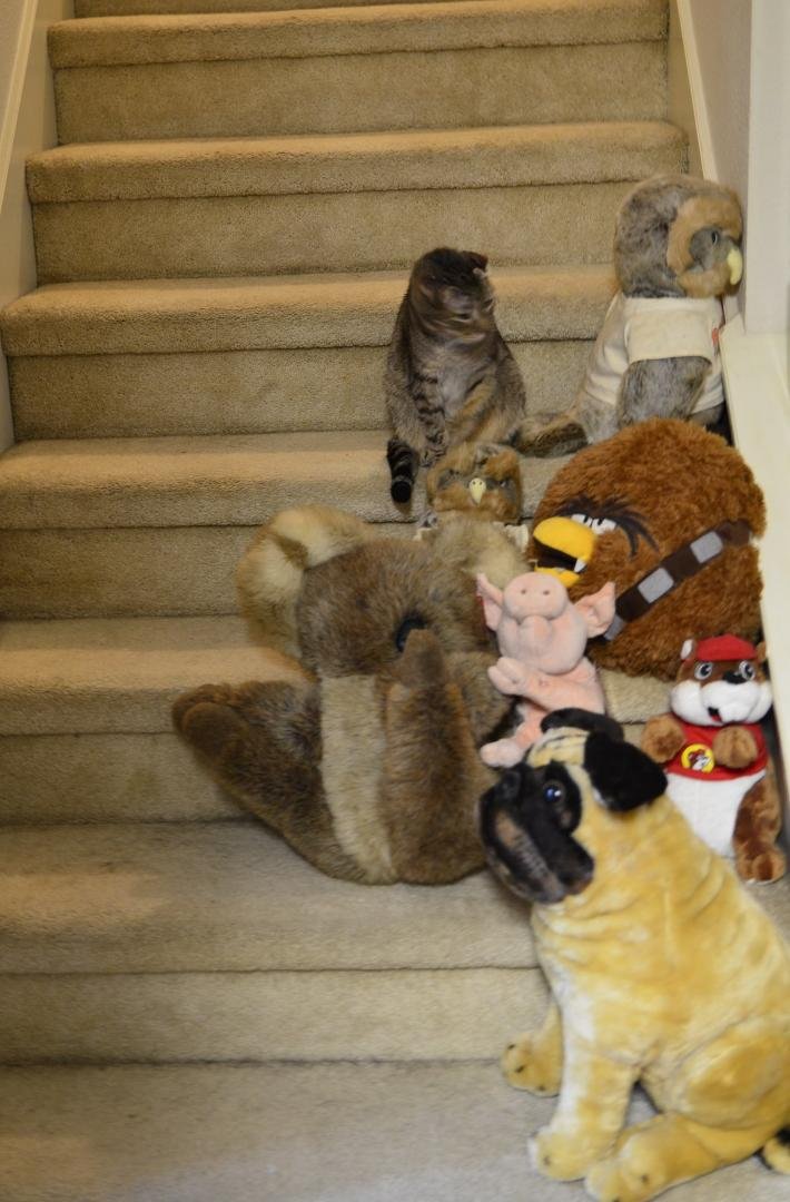 My stuffed animals and Casper