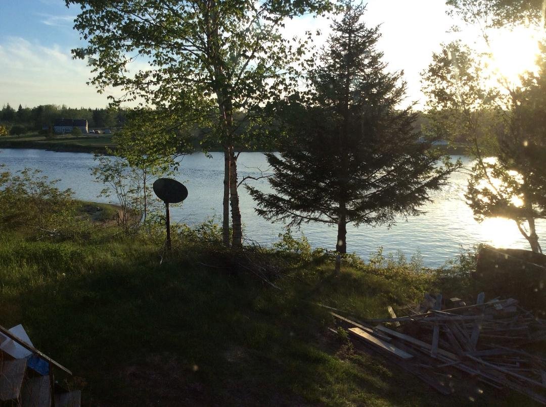 Here's looking out my kitchen window this evening, my cove.