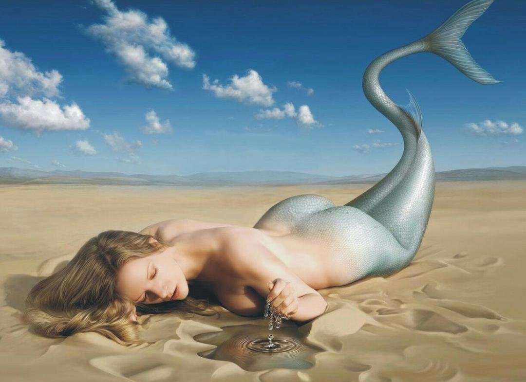 angela antonsen's album, Mobile Uploads