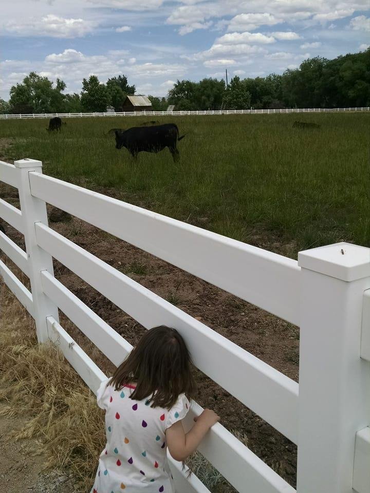 Julie Miller's album, Mobile Uploads