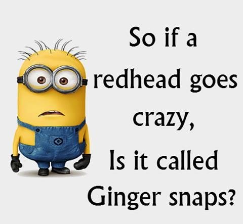 Donna Dicarlo's album, Timeline Photos