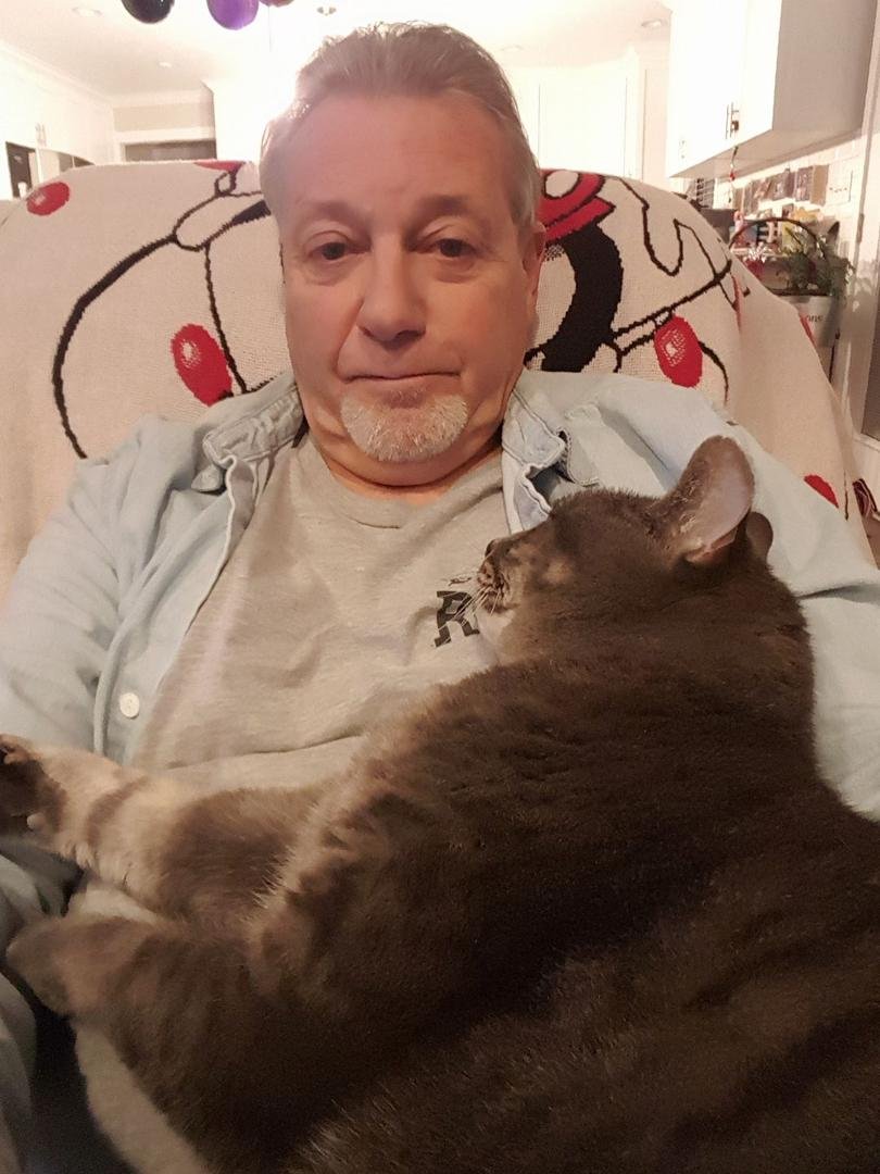 Cat found a fat cushion to lay on.