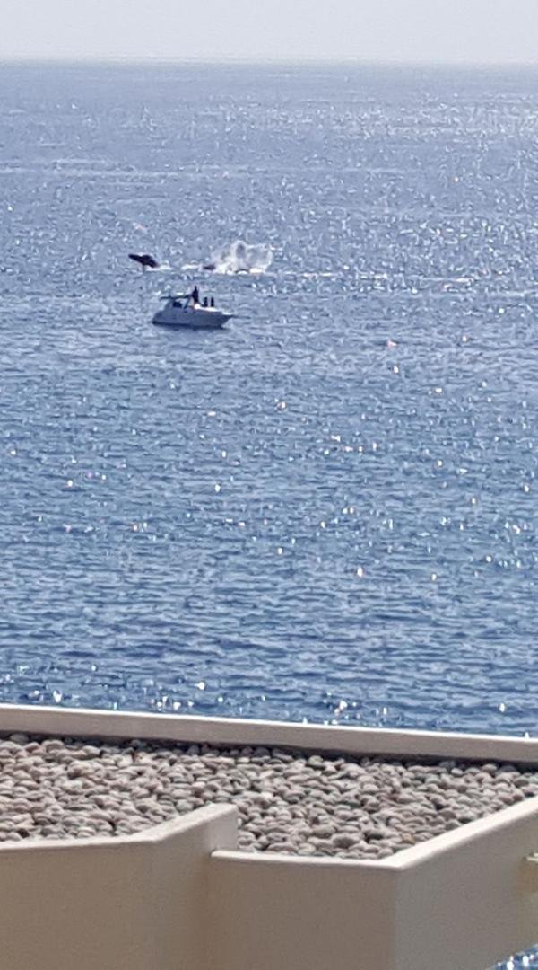 Sperm wale from hotel room
