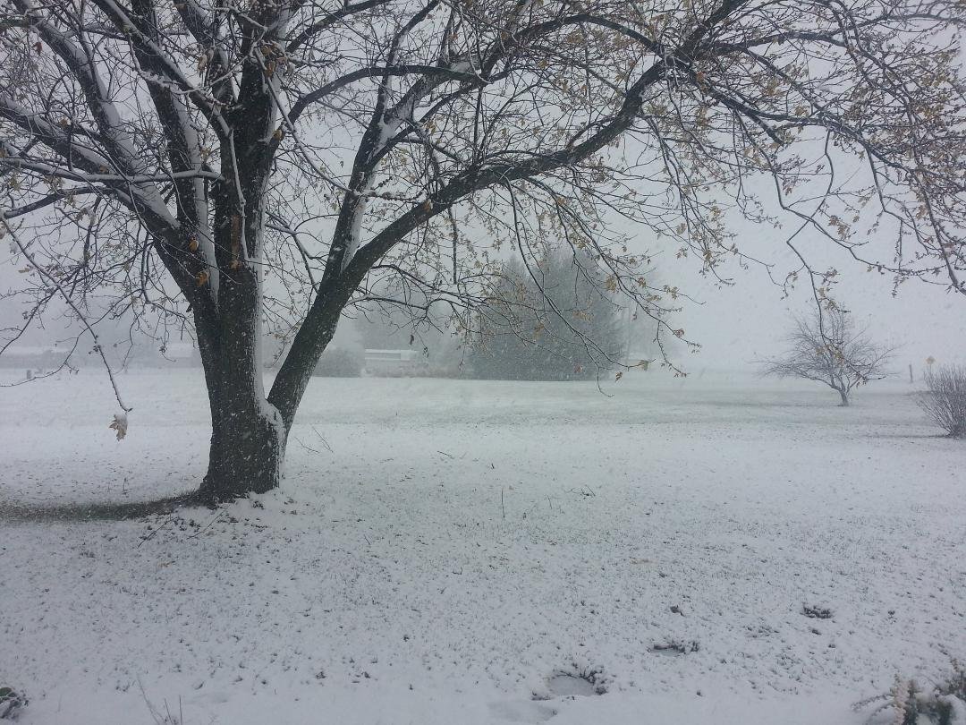 Indiana weather. Last week 65 degrees. Today snow!