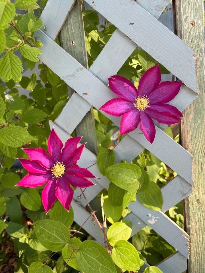 Robert Shippobotham's album, Timeline photos