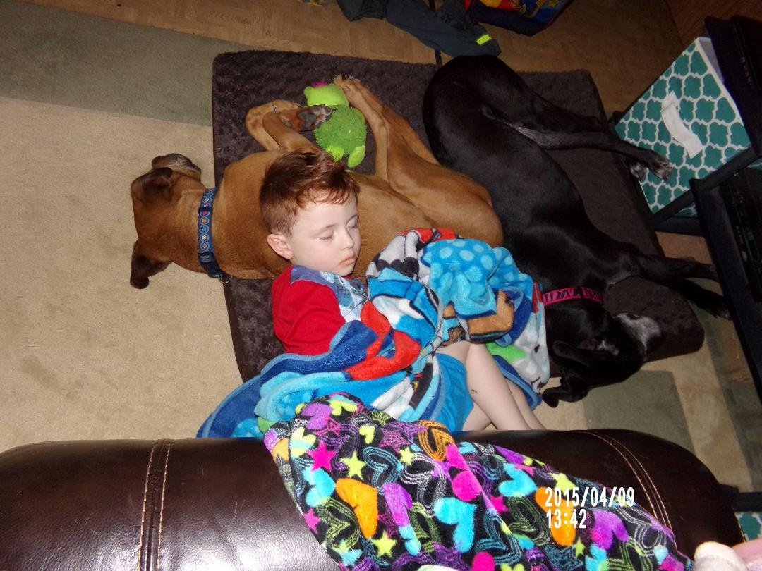 Donna Lord's album, Timeline Photos