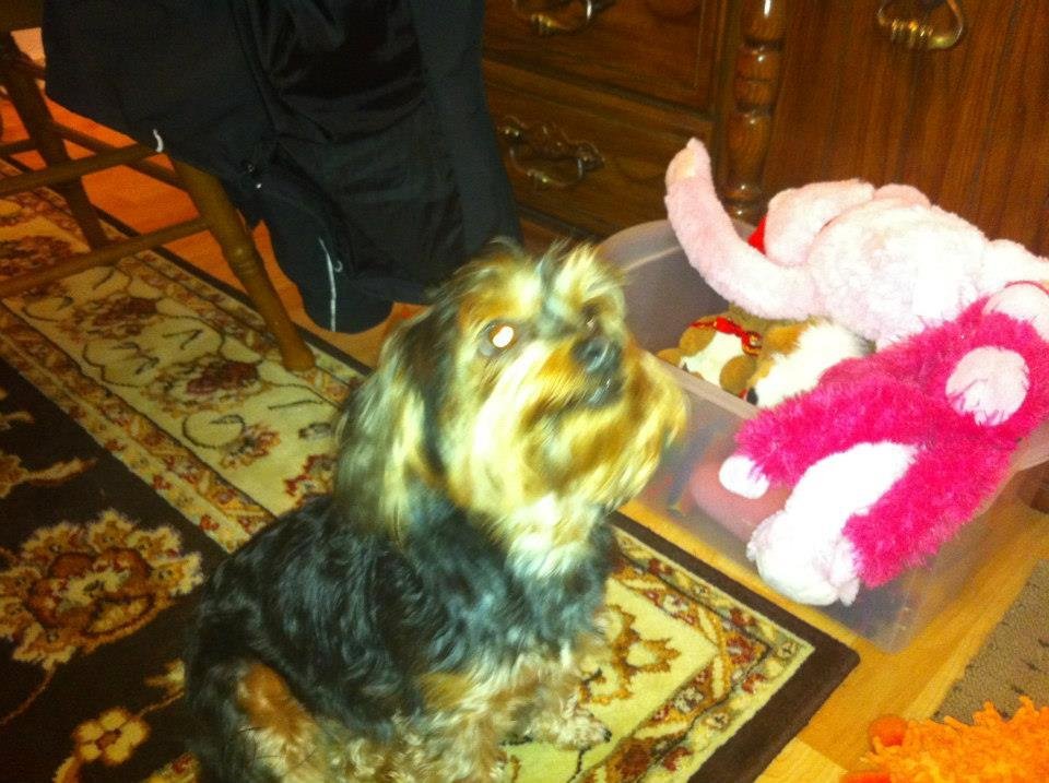 A little blurry Angel