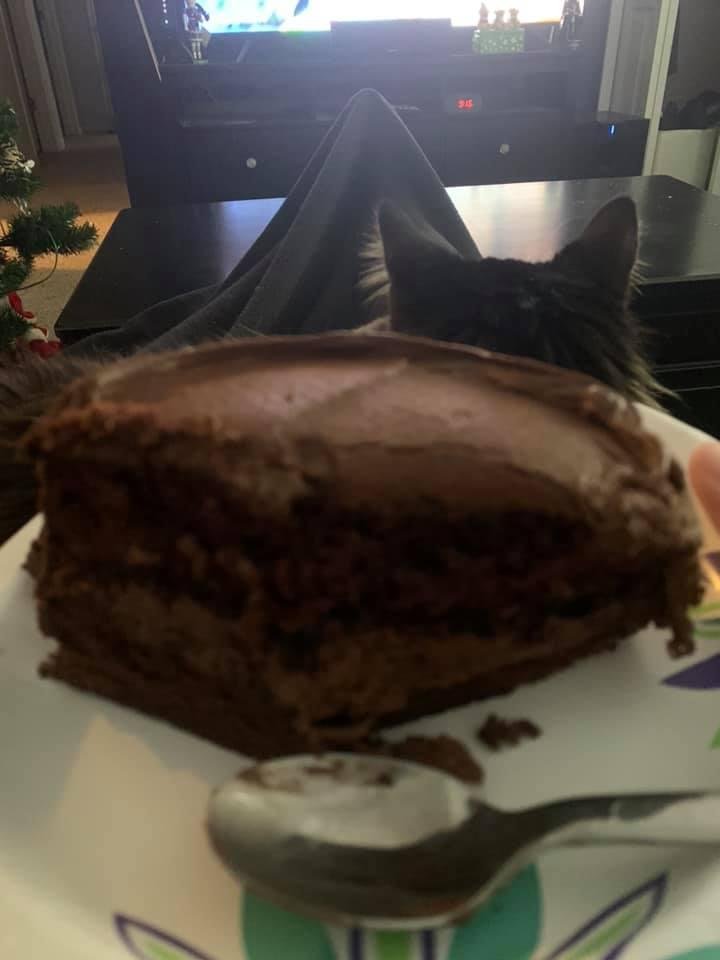 CAKE for breakfast because I’m a older adult now!!!