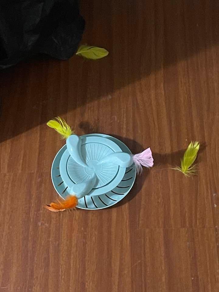 She got a new toy and in less than five minutes she removed feathers and figured out how to remove the ball. $2.50 at Savers…. Oh well!