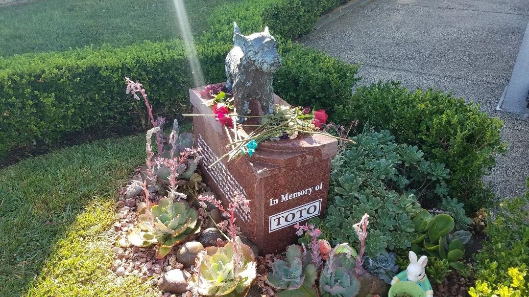 Toto from the Wizard of Oz