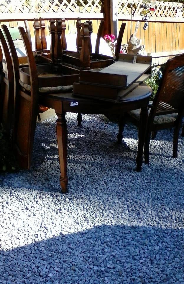 Sharon Hollibaugh's album, Mobile Uploads