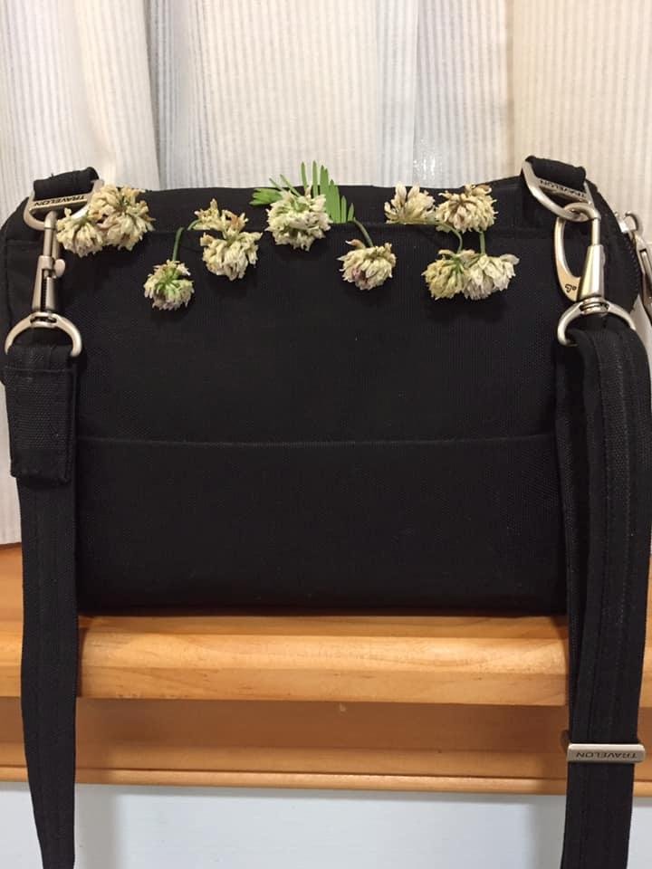 Steve and I went to visit Jeremiah, Kelly and the children this afternoon!  We were sitting in the back yard.  When I got ready to come home Laura told me she decorated my purse!  I wish they would stay fresh for awhile but