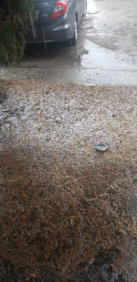We got the white stuff today (hail)