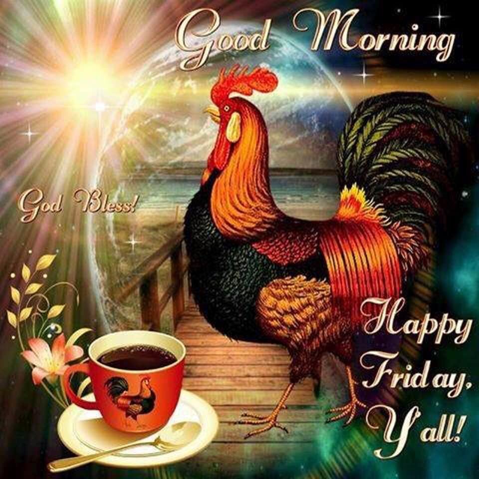 Enjoy