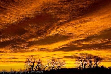 ben harris' album, Timeline Photos