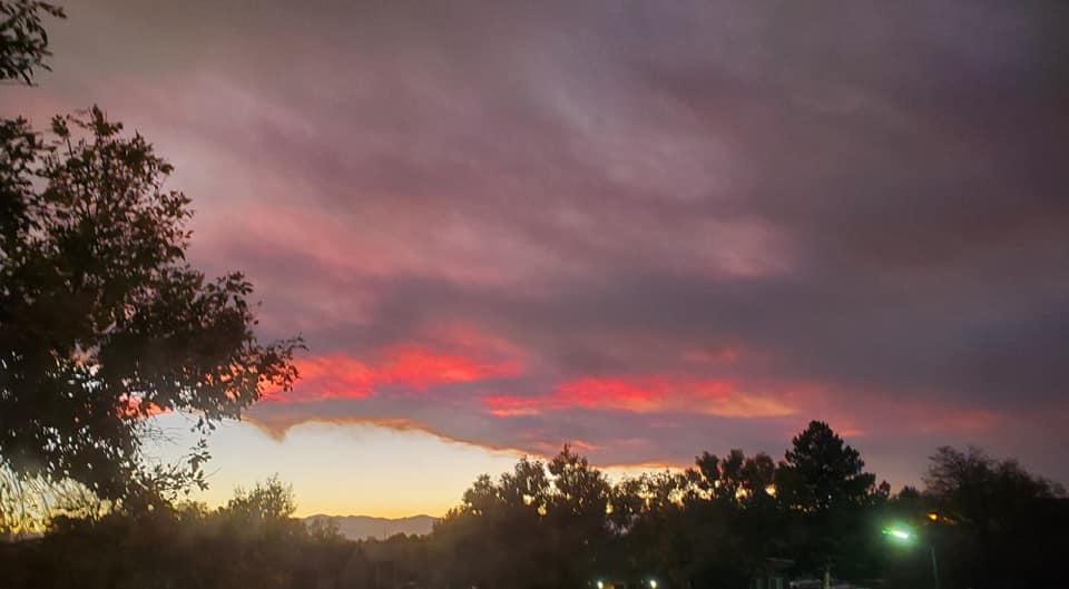 Barbara Allison's album, Mobile uploads