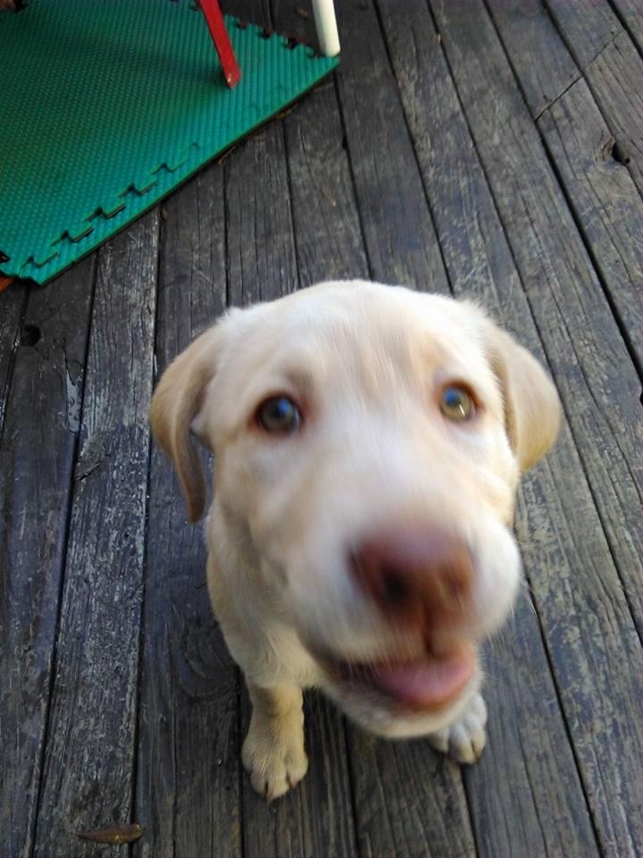 The precious face of Grace
