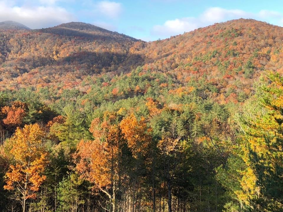 View from the cabin in the north Georgia mountains. Having a wonderful time with friends here.