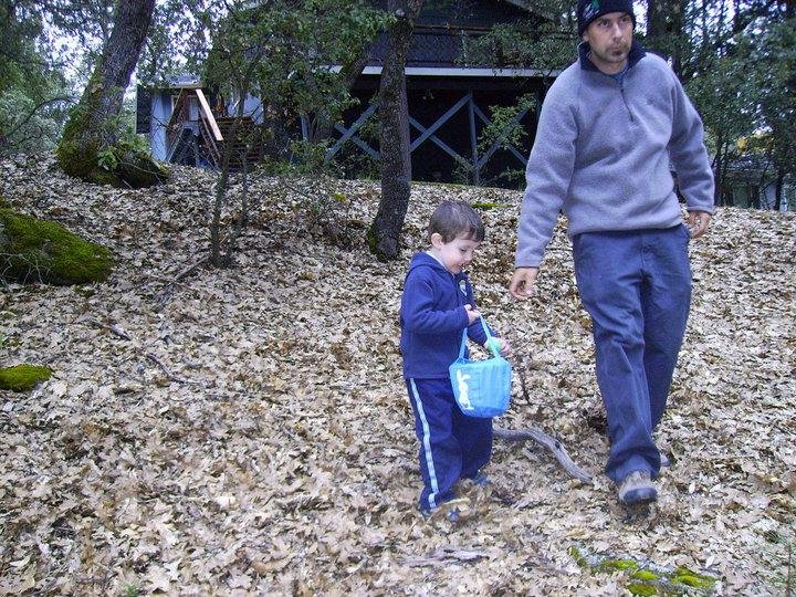 Looking for Easter Eggs