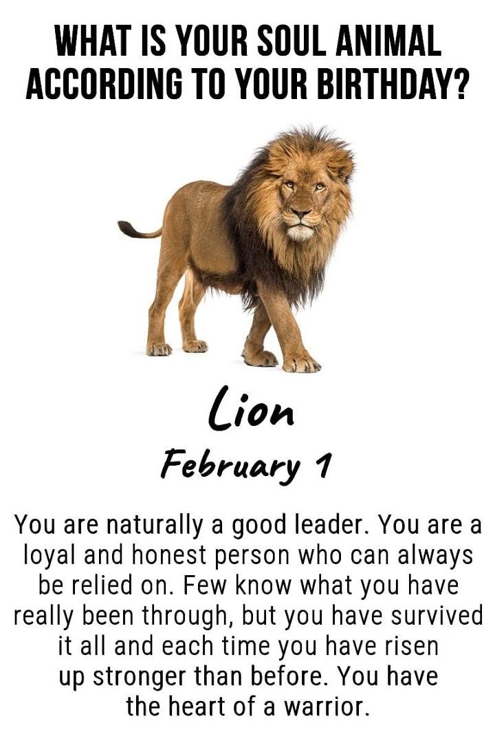 This made me feel good, whether it is true or not.
