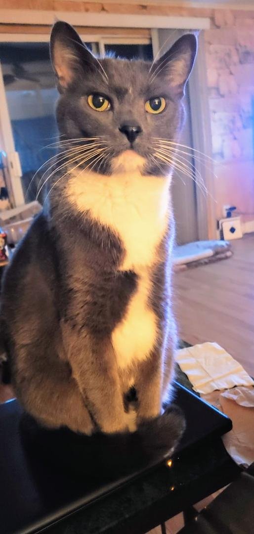 Tater