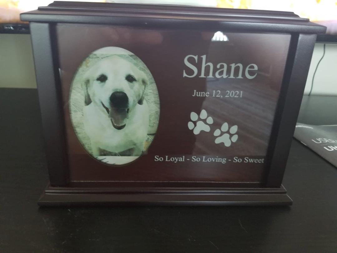 My best friend, I miss you