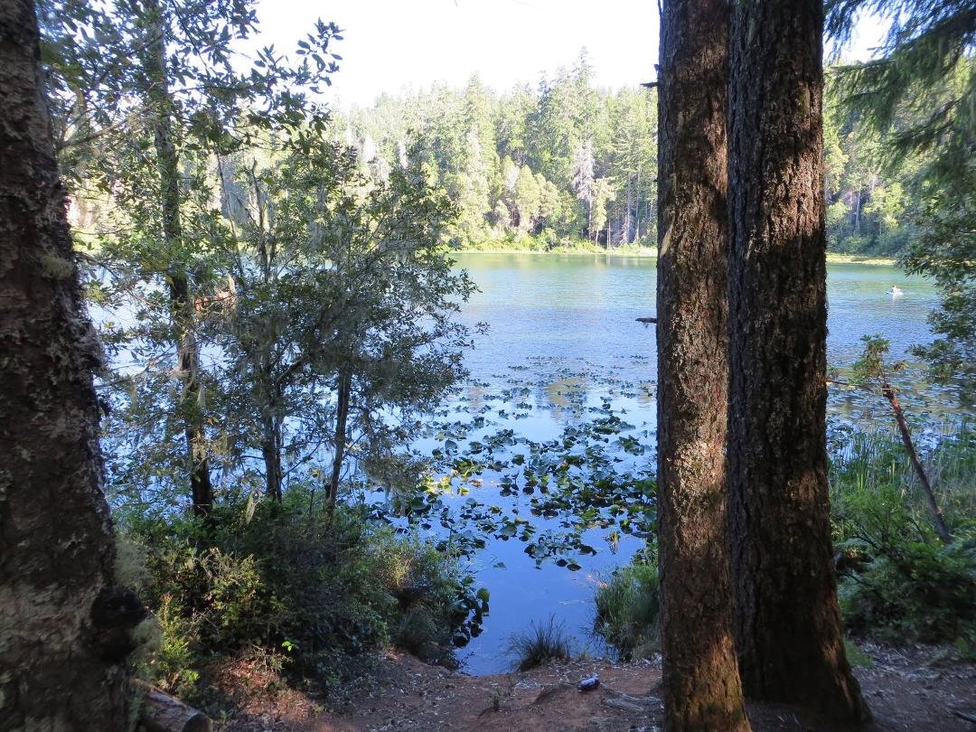 Fish Lake, N. CA.- Bigfoot area.