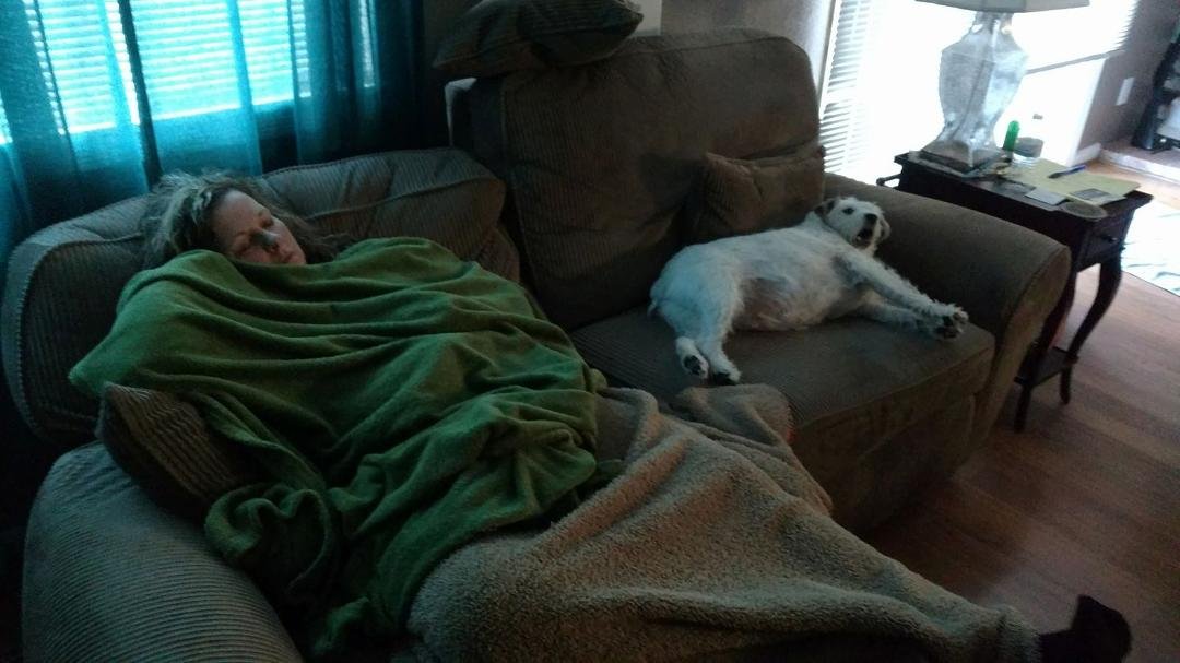 Doggy stole my spot