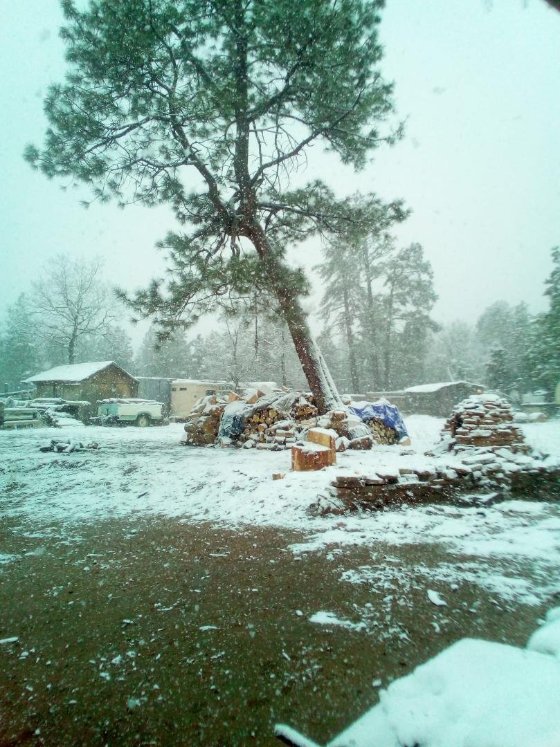 Here we go again,can't see the snow coming down