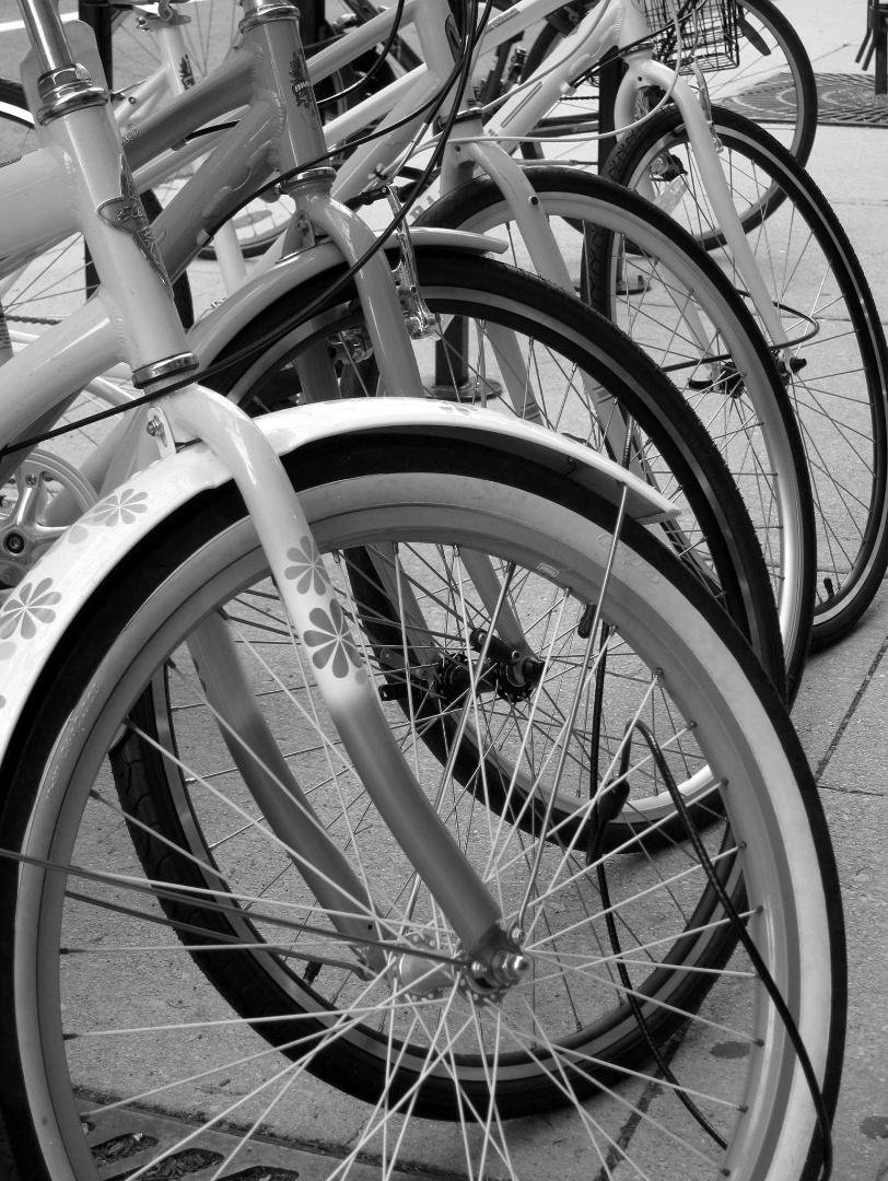 Day 7 of my Black and White Challenge.
7 days.
No people.
No explanations.
Challenge someone new each day.
Today I challenge Leah Schaefer.