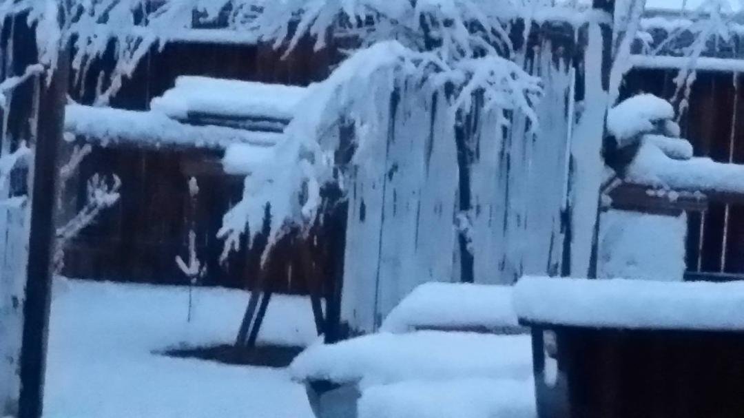 Wet heavy snow, should get around 3-5 inches this morning but it will be gone for the next snow tomorrow