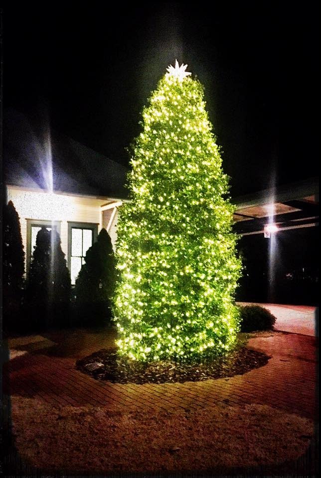 Christmas in Southern Pines.