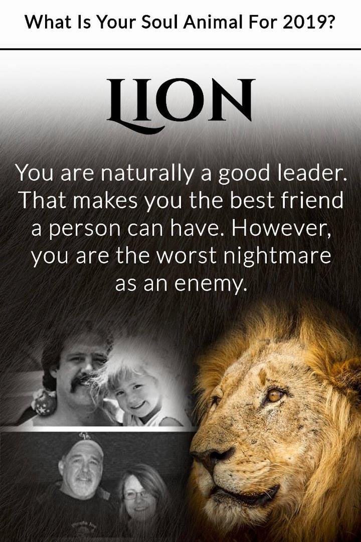 Steve Schultz's album, Timeline Photos