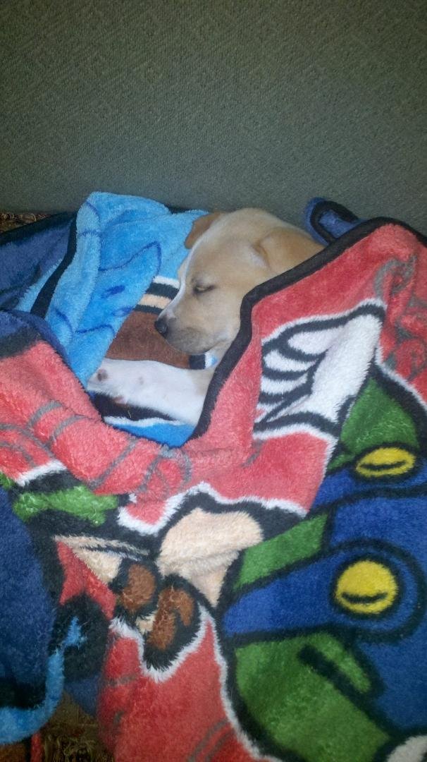 Cheryl Graves' album, Timeline Photos