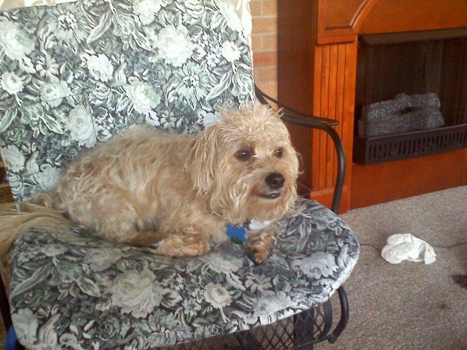 This is biscuit taken on the patio